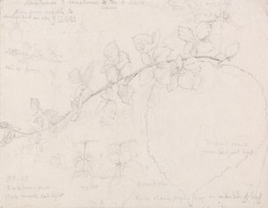 ブランブル 作： Samuel Palmer